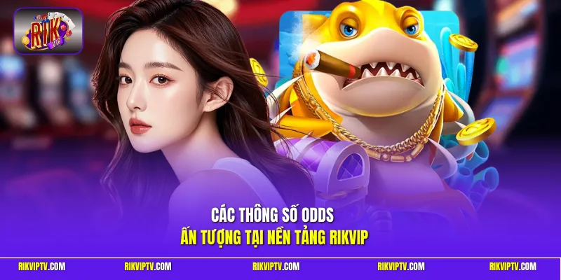 Các thông số odds ấn tượng tại nền tảng Rikvip