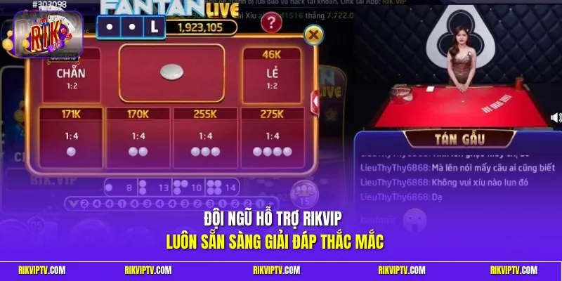 Đội ngũ hỗ trợ Rikvip luôn sẵn sàng giải đáp thắc mắc