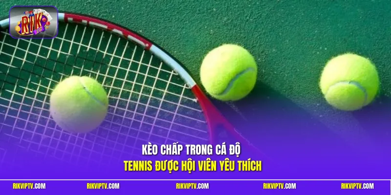 Kèo chấp trong cá độ tennis được hội viên yêu thích
