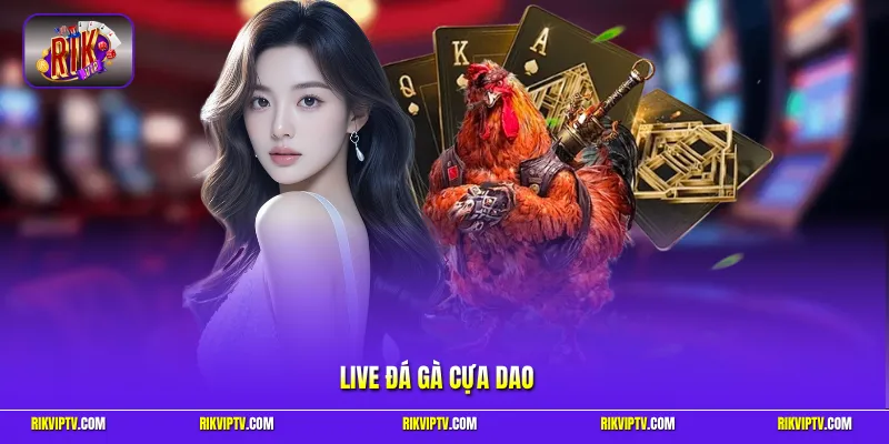 Live Đá Gà Cựa Dao