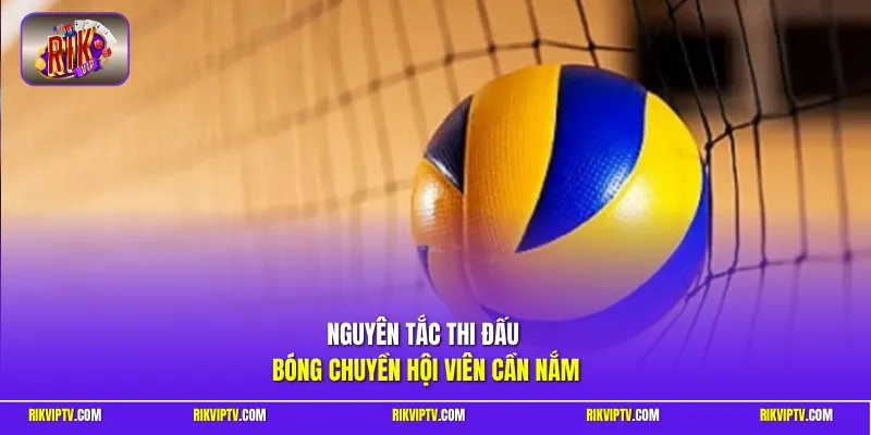 Nguyên tắc thi đấu bóng chuyền hội viên cần nắm