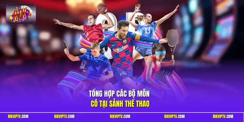 Tổng hợp các bộ môn có tại sảnh thể thao