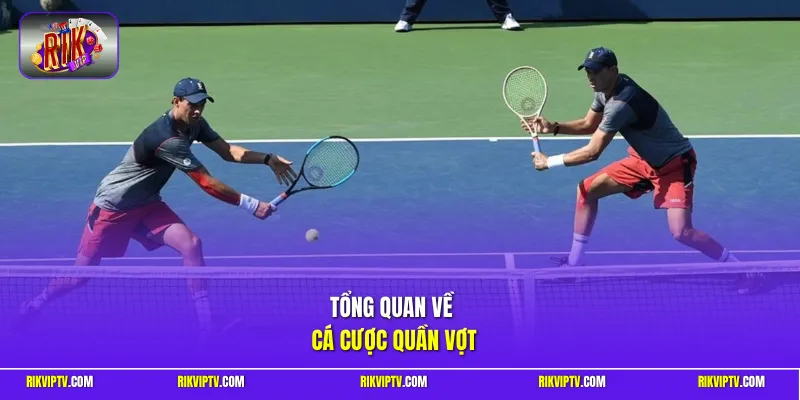 Tổng quan về cá cược quần vợt